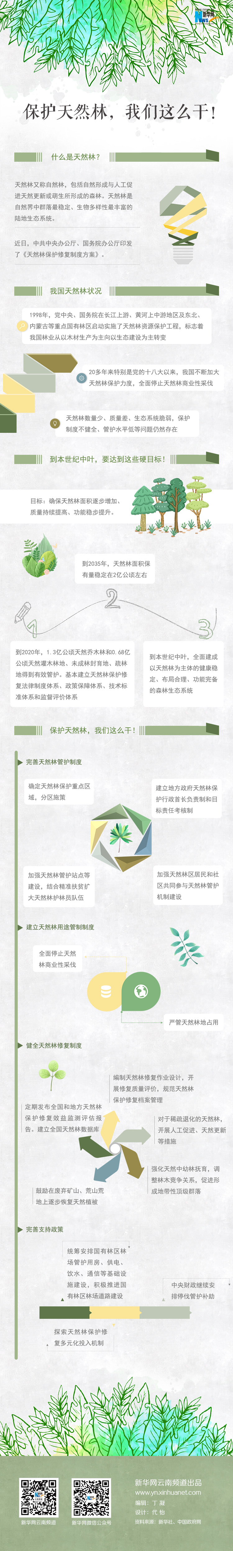2020年國(guó)家公務(wù)員考試時(shí)政：保護(hù)天然林，我們這么干！